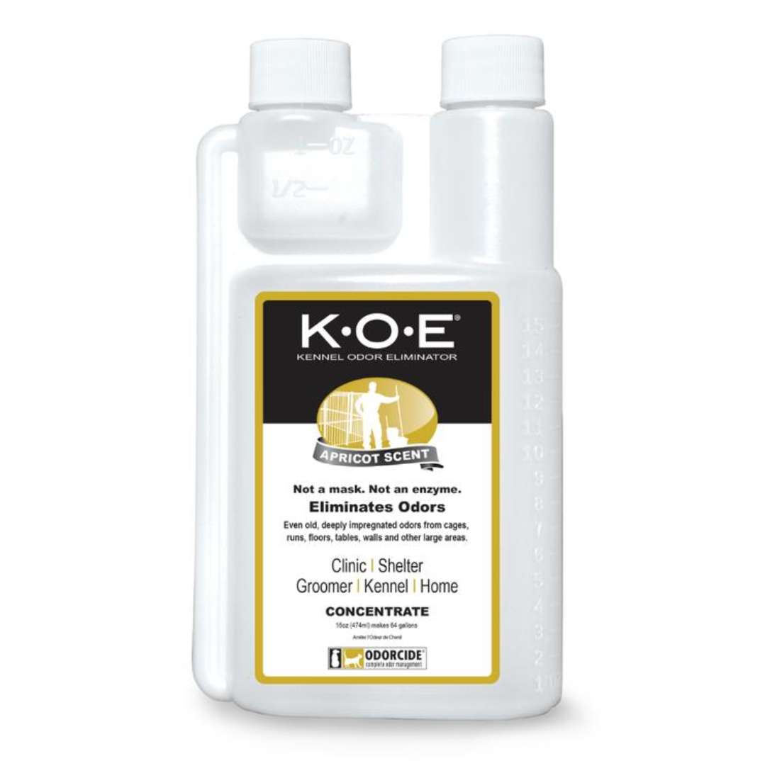 Cogniverse™ Apricot Concentrate – 16 FL OZ / 500ml
