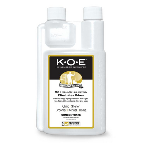 Cogniverse™ Apricot Concentrate – 16 FL OZ / 500ml